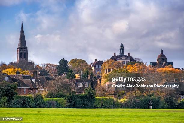 skyline of hampstead garden suburb in north london - ハムステッド ストックフォトと画像