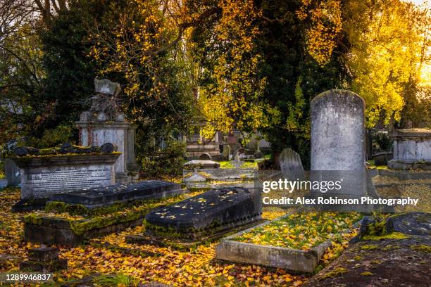 ancient gravestones and tombs in an empty churchyard, autumn leaves, no people - tower hamlets foto e immagini stock