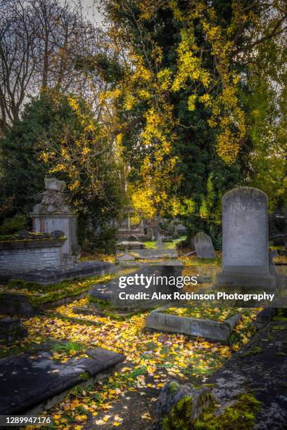 ancient gravestones and tombs in an empty churchyard, autumn leaves, no people - tower hamlets stock pictures, royalty-free photos & images