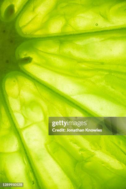 close up lime slice - limes stock pictures, royalty-free photos & images
