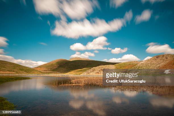 the mountain landscape reflects on the water against a blue lake and sky - seattle landscape stock pictures, royalty-free photos & images