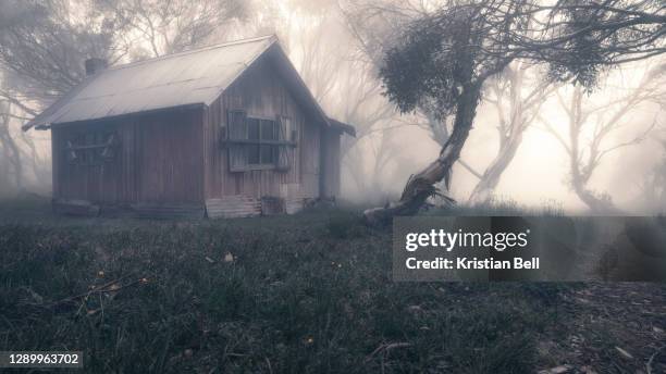 an old bushmans hut in foggy, alpine woodland, australia - shack stock pictures, royalty-free photos & images