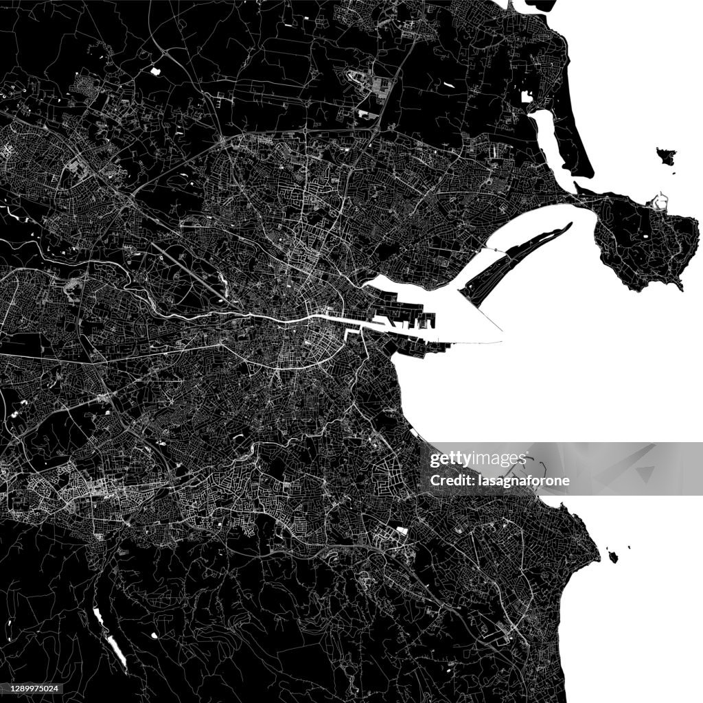 Dublin, Ireland Vector Map