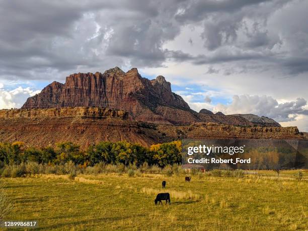 Redd Ranches Utah 154 Red Rock Ranch Stock Photos, High-Res Pictures, and Images - Getty ...