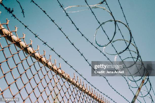 barbed wire fence with razor wire: security, protection and exclusion - barbed wire stock pictures, royalty-free photos & images