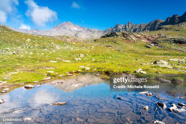 alpine lake - ponte di legno stock pictures, royalty-free photos & images