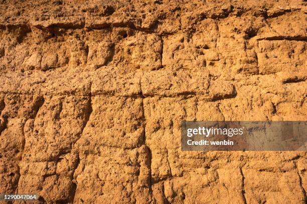 Topsoil Pattern 30 Topsoil Texture Stock Photos, High-Res Pictures, and Images - Getty ...
