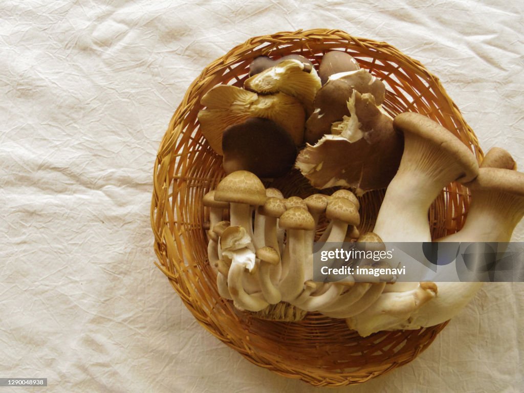 Variety of Mushrooms