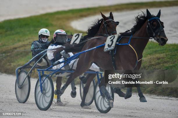 General view of the horses in action s that precede Grand Prix of Nations 2020 in memory of Edoardo Gubellini held at the Sanai La Maura Hippodrome,...