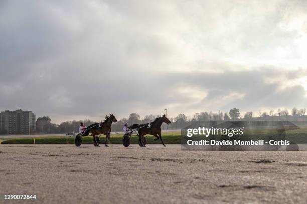 Jos Verbeeck nicknamed Belgian devil and the horse Blue Du Gers and Ch. Martens and the horse Valokaaja Hindo DK during the warm-up before the 2020...