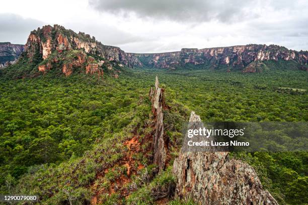 "crista do galo" - (rooster crest) - rock formation in chapada dos guimarães - cerrado 個照片及圖片檔