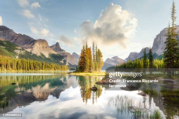 scenic summer view at spirit island, maligne lake, jasper national park, alberta, canada - jasper mountains stockfoto's en -beelden