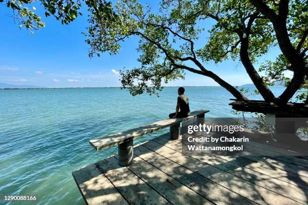 chanthaburi scenic view (pak nam laem sing) - a man sitting at the outdoor patio under the tree with sea view and blue sky. - tree under blue sky stockfoto's en -beelden