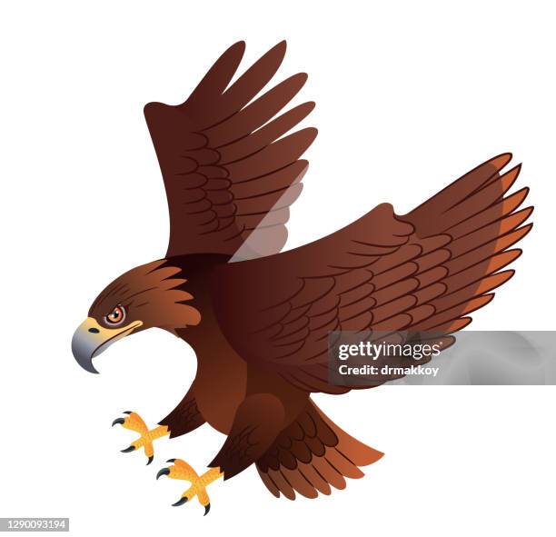 steinadler - steinadler stock-grafiken, -clipart, -cartoons und -symbole