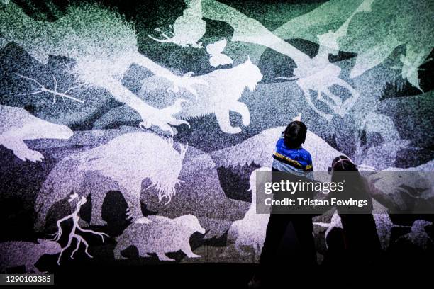 Projection goes on view during the "Fantastic Beasts: The Wonder of Nature" photo call at Natural History Museum on December 08, 2020 in London,...