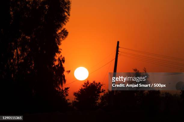 silhouette of trees against orange sky,dera ismail khan,khyber pakhtunkhwa,pakistan - dera ismail khan stock pictures, royalty-free photos & images