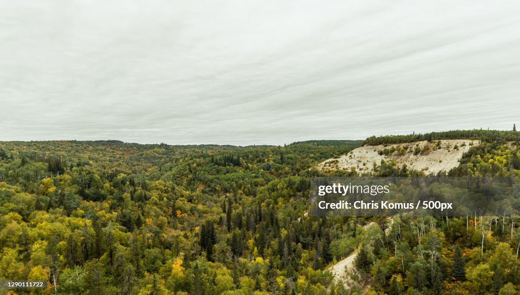 Scenic view of forest against sky,Wasagaming Dr,Canada