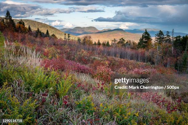 scenic view of landscape against sky during autumn,white mountain national forest,new hampshire,united states,usa - new hampshire stock pictures, royalty-free photos & images