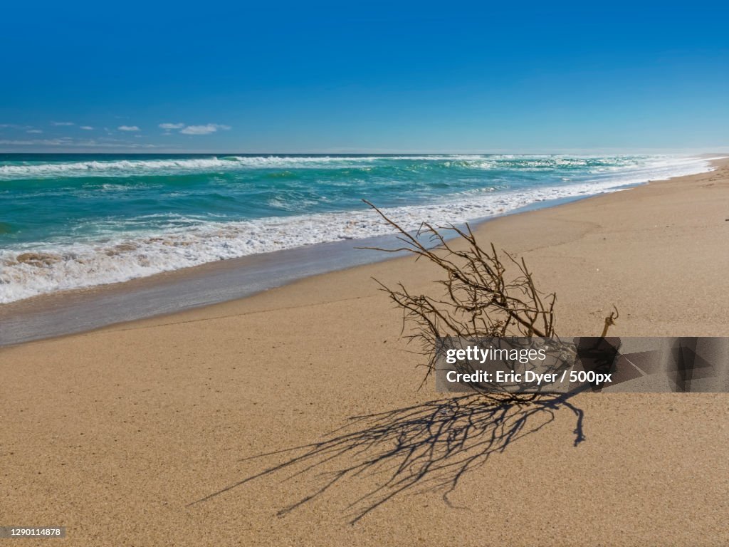 Scenic view of beach against clear sky,Cape Cod,Massachusetts,United States,USA