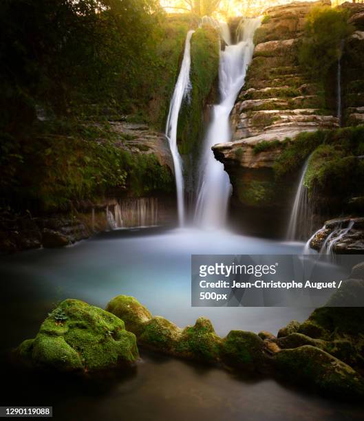 scenic view of waterfall in forest,navacelles,france - cascade france stock pictures, royalty-free photos & images