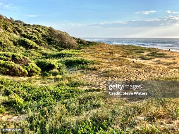 141 Congo New South Wales Stock Photos, HighRes Pictures, and Images