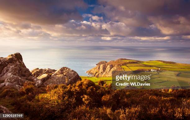 welsh coastline - wales stock pictures, royalty-free photos & images