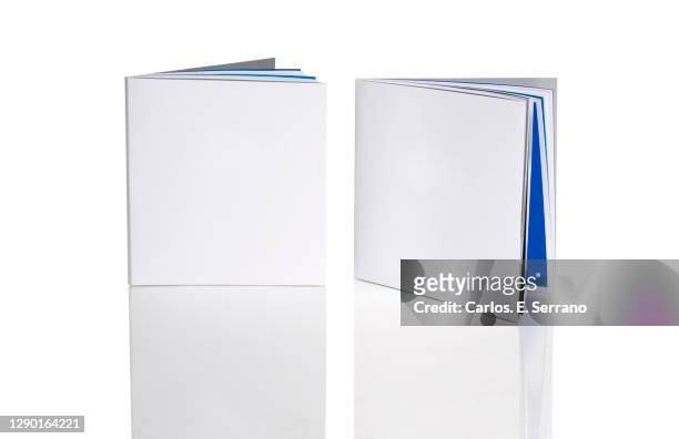 two blank cover books standing, ready for branding - broschüren stock-fotos und bilder