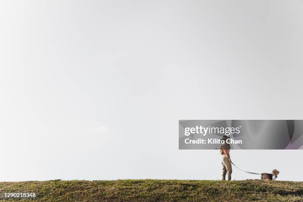 asian woman walking a dog along the embankment - one embankment stock-fotos und bilder