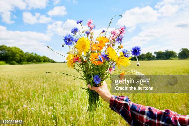 woman's hand holding a colorful bouquet of wild flowers in summer - bouquet de fleurs photos et images de collection