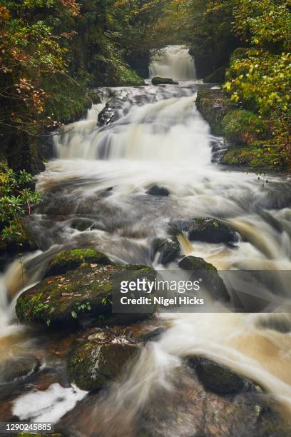 an autumn view of a fast-flowing river passing through ancient woodland in a deep valley. - exmoor national park stockfoto's en -beelden