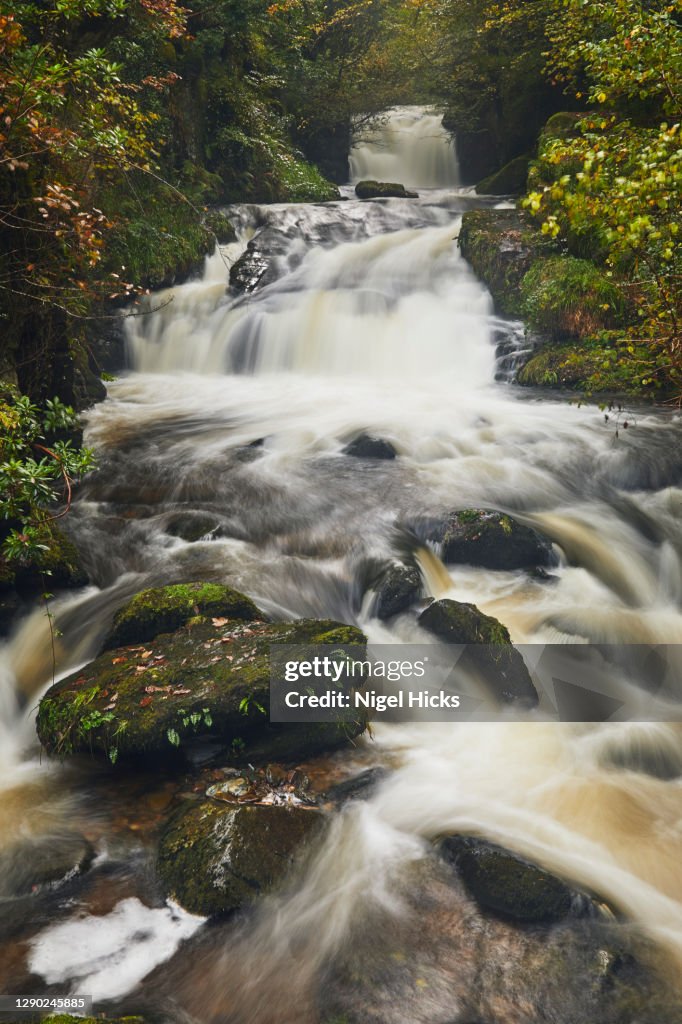 An autumn view of a fast-flowing river passing through ancient woodland in a deep valley.