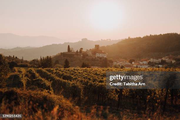 rebberg weinberg im sonnenaufgang toscana italien - tuscany sunset stock pictures, royalty-free photos & images