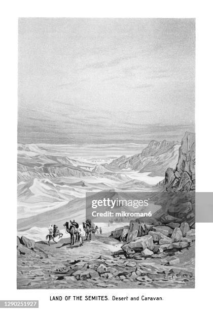 old engraved illustration of land of semites. desert and caravan - north africa photos et images de collection