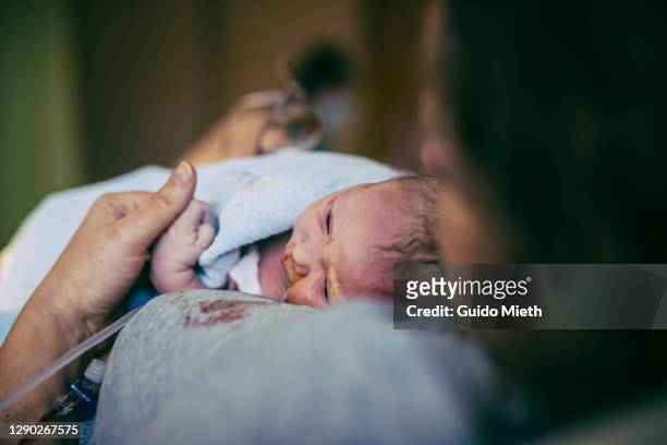 woman holding her newborn after birth in hospital. - beginnings stock pictures, royalty-free photos & images