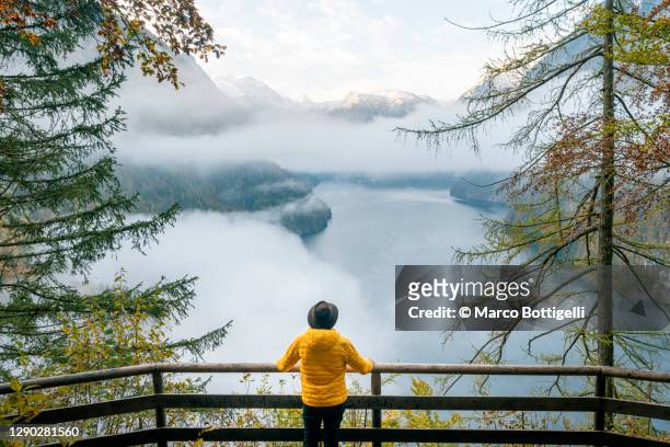 person enjoying the view of lake konigsee at dawn, bavaria, germany - berchtesgaden stock-fotos und bilder