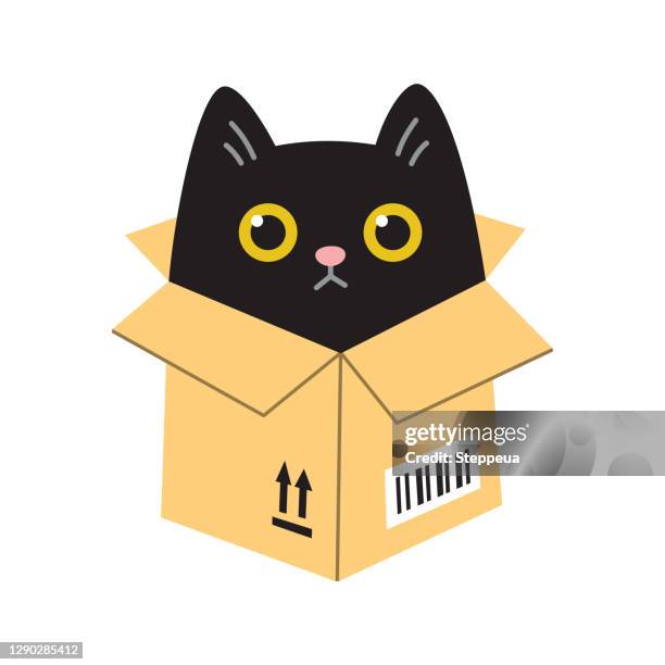 stockillustraties, clipart, cartoons en iconen met kat in een doos - cat box