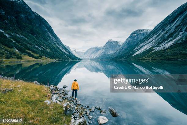 one man admiring the view of a fjord in norway - westelijke fjorden noorwegen stockfoto's en -beelden