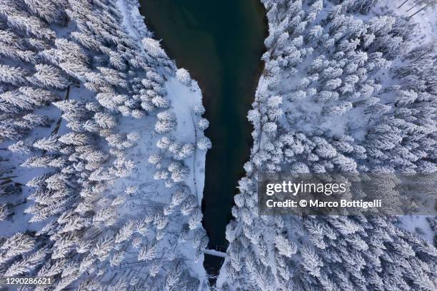 lake tip in snowy surroundings - winter wonder land stockfoto's en -beelden