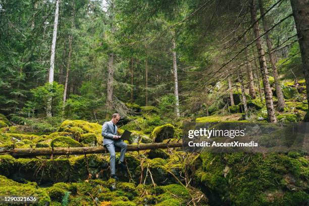 business man works remotely in lush forest in the morning - switzerland business stock pictures, royalty-free photos & images