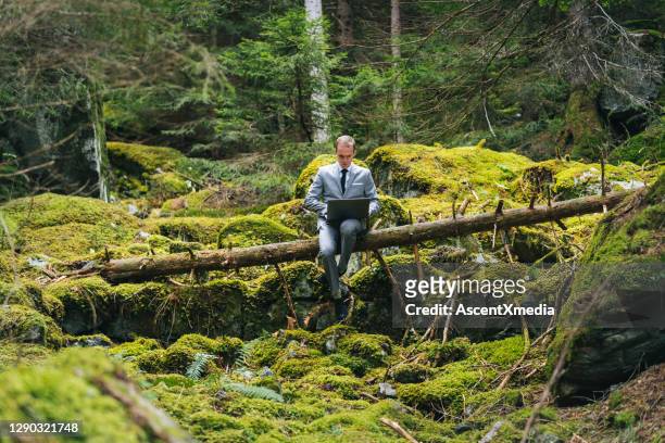 hombre de negocios trabaja remotamente en el exuberante bosque por la mañana - environmental conservation fotografías e imágenes de stock