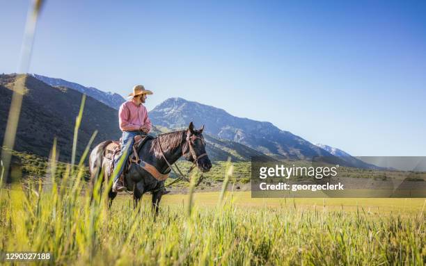 moderner cowboy mit blick auf eine bergebene - country western outside stock-fotos und bilder