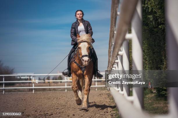 Foto de Cavalo Pulando Uma Cerca e mais fotos de stock de Cross-country  equestre - Cross-country equestre, Cavalo - Família do cavalo, Cavalgar -  iStock