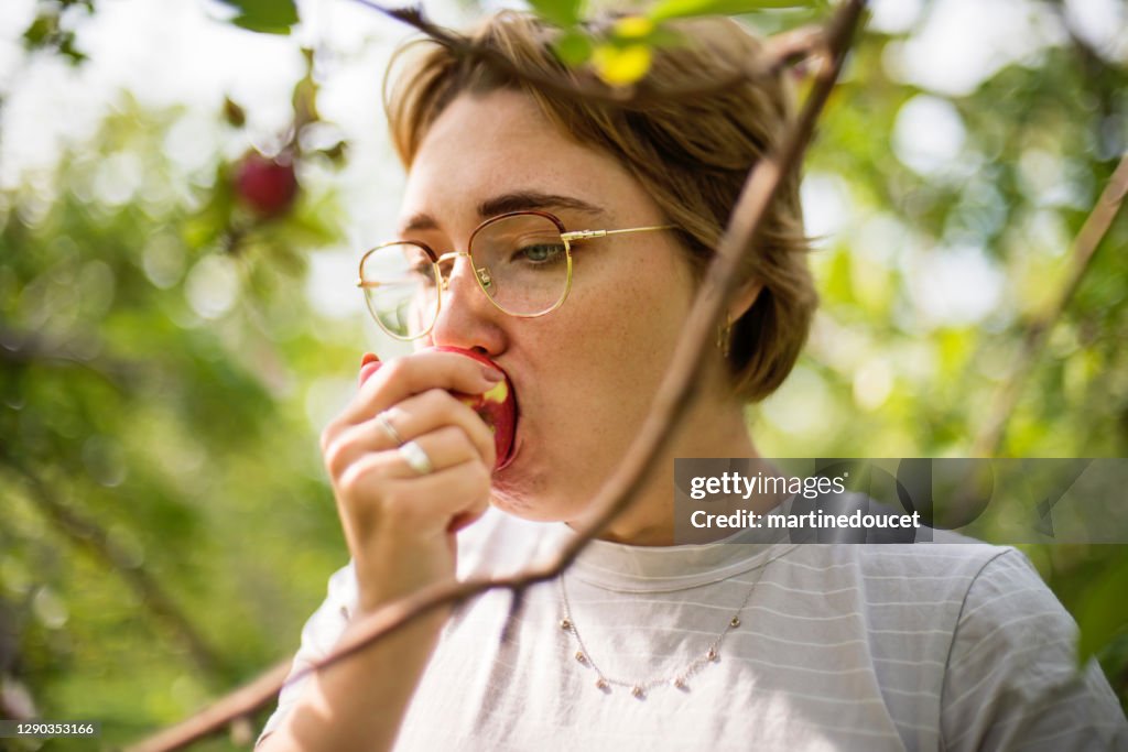 Jovem adulta pegando maçãs no pomar.