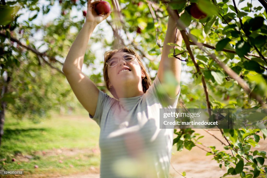 Young adult woman picking up apples in orchard.