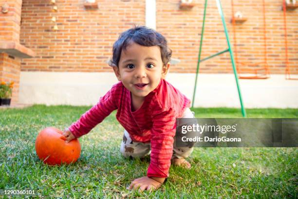 baby im hinterhof - toddler stock-fotos und bilder