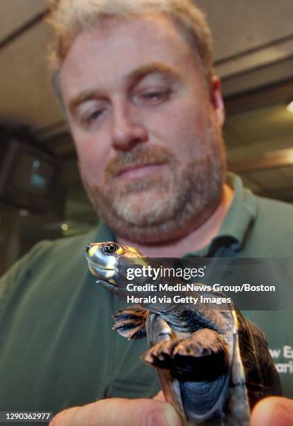 Boston, MA Aquarium ships rare Amazon turtles to Pittsburgh zoo marine biologist Scott Dowd examines one of three yellow-spotted Amazon River Turtles...