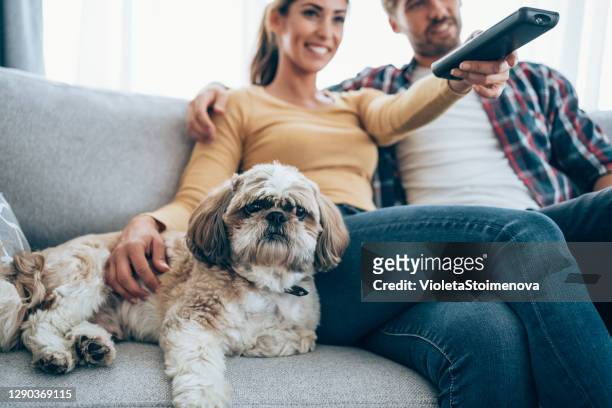 bonita pareja joven abrasando mientras mira la televisión. - lovers 2020 film fotografías e imágenes de stock