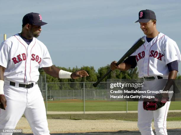 389 Funny Red Sox Stock Photos, High-Res Pictures, and Images - Getty Images