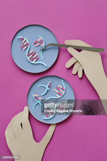 genetic testing & genome sequencing - crispr stock-fotos und bilder