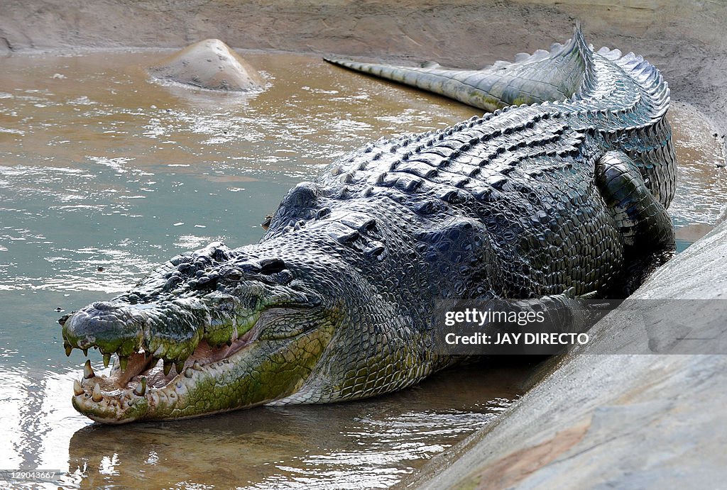 TO GO WITH AFP STORY PHILIPPINES-ENVIRON